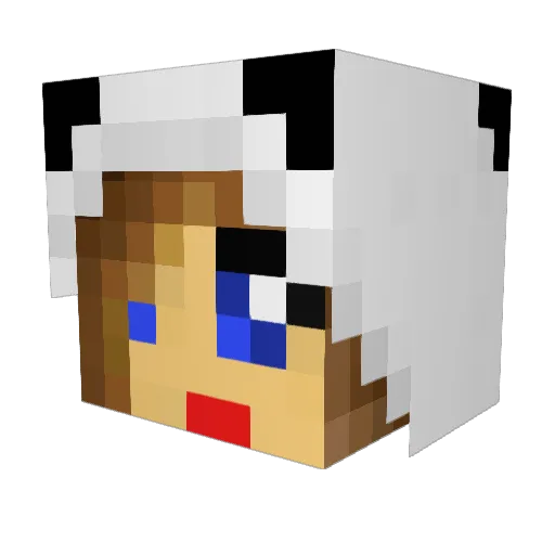 MissFLRN Minecraft avatar head, 3D render