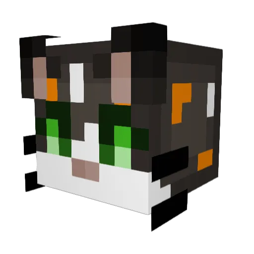 MissFindus Minecraft avatar head, 3D render