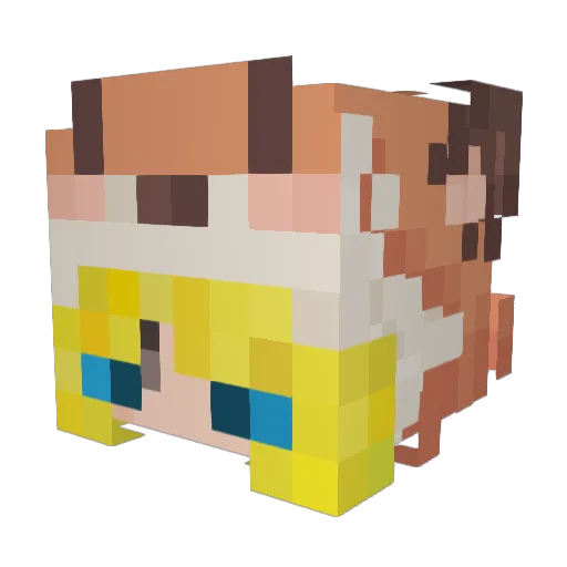 MissFox_ Minecraft avatar head, 3D render