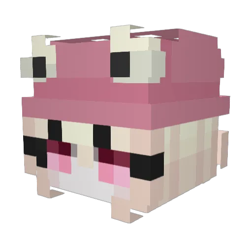 MissJenny__ Minecraft avatar head, 3D render