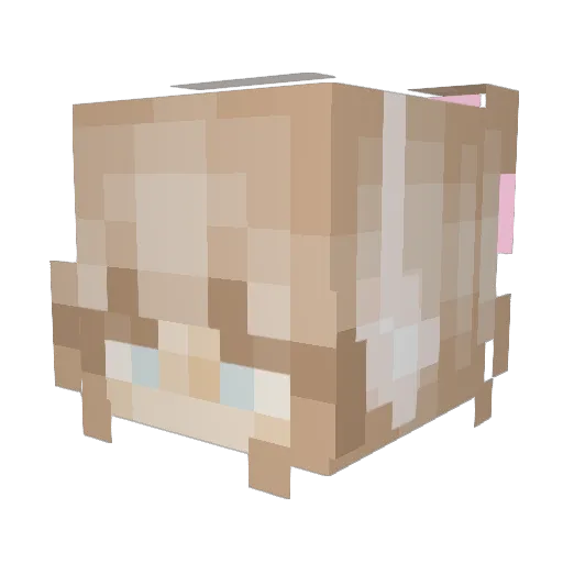MissJess68 Minecraft avatar head, 3D render