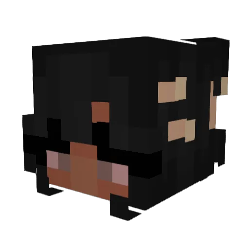 MissLucyBee Minecraft avatar head, 3D render