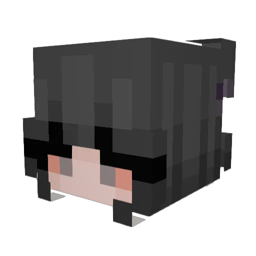 MissLunatiic Minecraft avatar head, 3D render