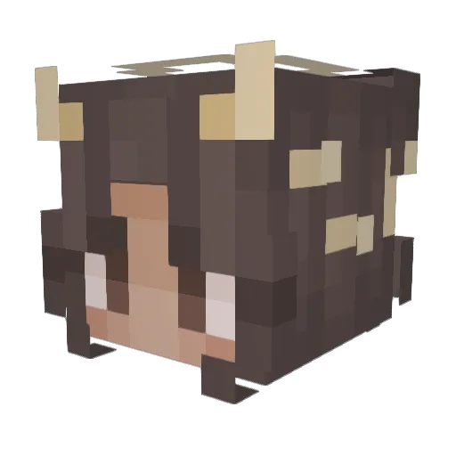 MissM0nkey Minecraft avatar head, 3D render