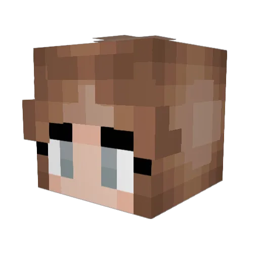 MissMerf123 Minecraft avatar head, 3D render