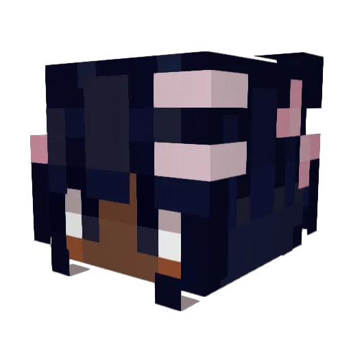 MissMisery18 Minecraft avatar head, 3D render