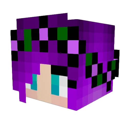 MissNinaDoesMC Minecraft avatar head, 3D render