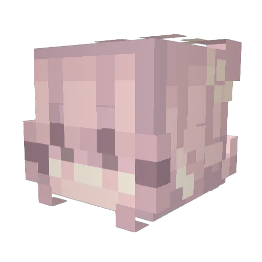 MissPander Minecraft avatar head, 3D render