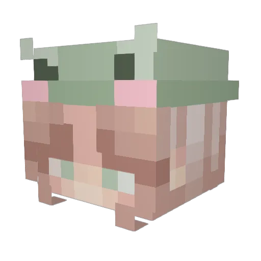 MissPiggy4182 Minecraft avatar head, 3D render