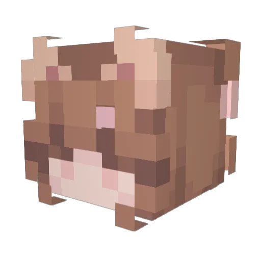 MissQTSunshine Minecraft avatar head, 3D render
