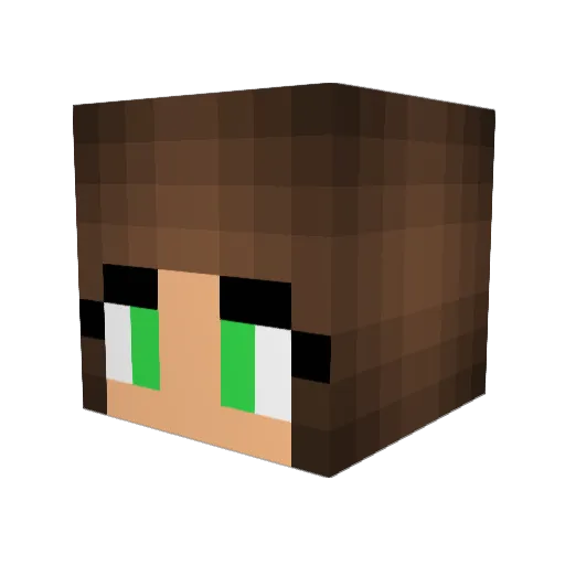 MissSchildi Minecraft avatar head, 3D render