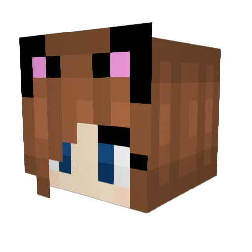 MissShannie Minecraft avatar head, 3D render