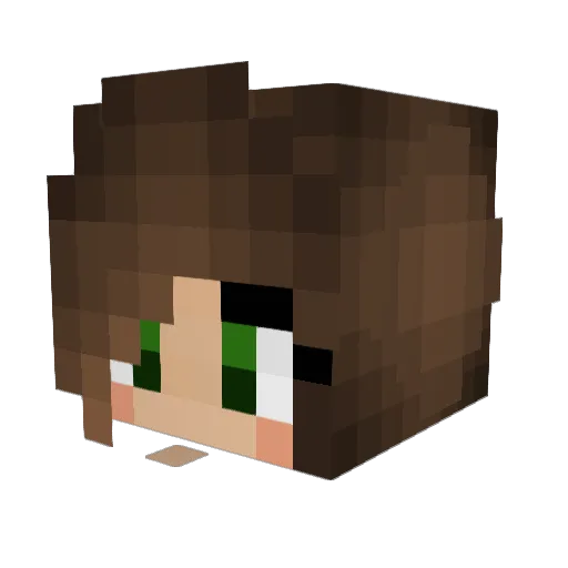 MissSolenn Minecraft avatar head, 3D render