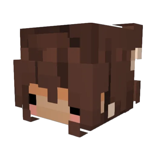 MissSoph03 Minecraft avatar head, 3D render