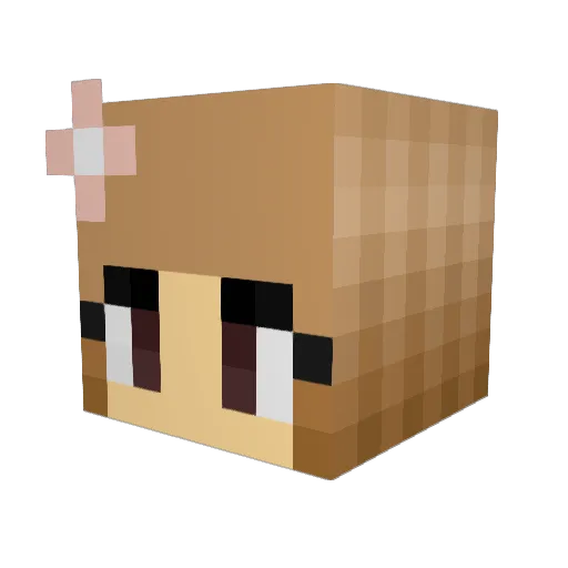 MissSunshine123 Minecraft avatar head, 3D render
