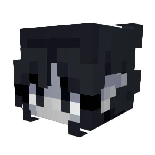 MissVanii Minecraft avatar head, 3D render
