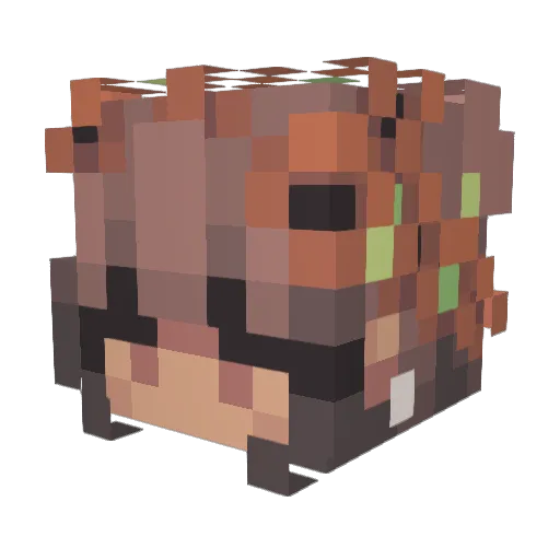 Miss_Brunette Minecraft avatar head, 3D render
