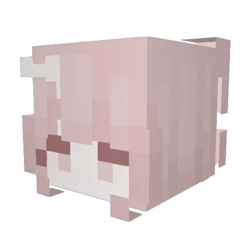 Miss_Miyuki Minecraft avatar head, 3D render