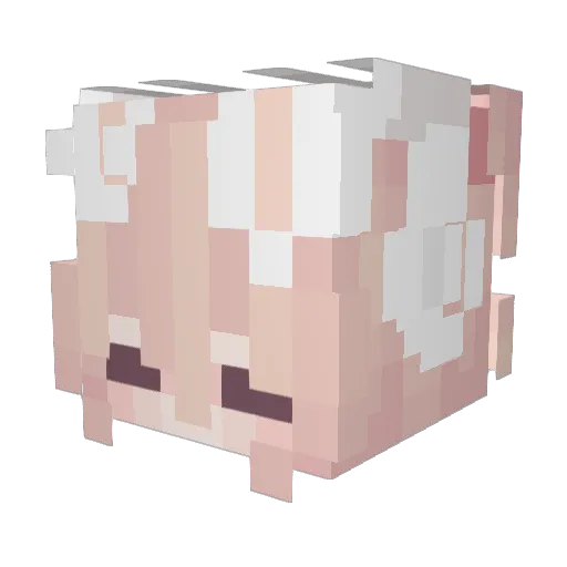 Miss_Rabbitt Minecraft avatar head, 3D render