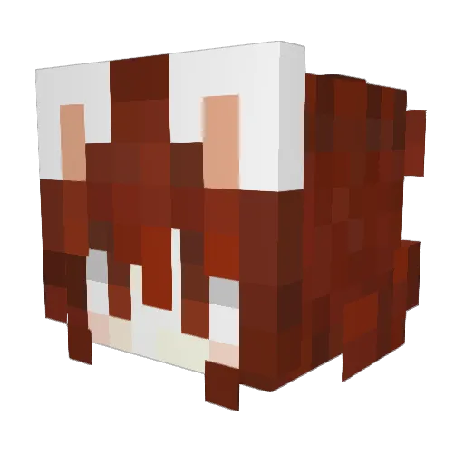 Miss_Tao Minecraft avatar head, 3D render
