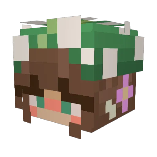 Miss_Turtles Minecraft avatar head, 3D render