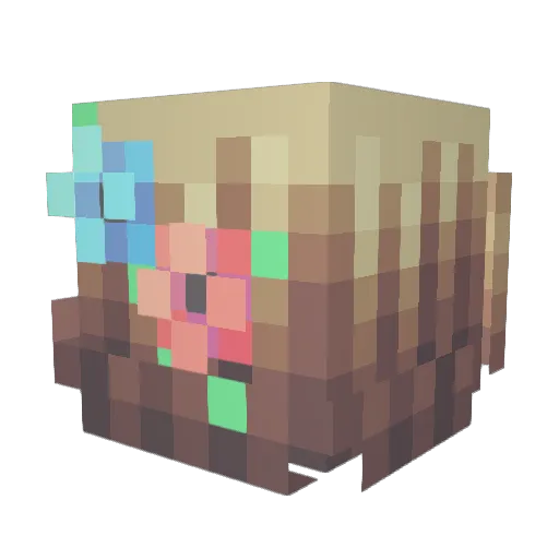 Miss_XllBuddyllX Minecraft avatar head, 3D render