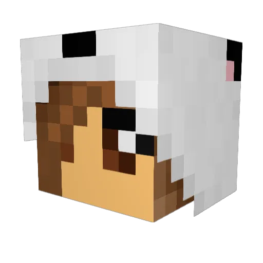 Miss_Zuni Minecraft avatar head, 3D render