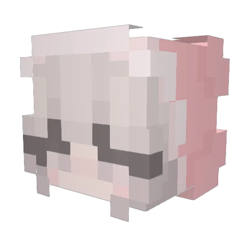 Miss__bottle Minecraft avatar head, 3D render