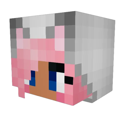 Miss_von_und_zu Minecraft avatar head, 3D render