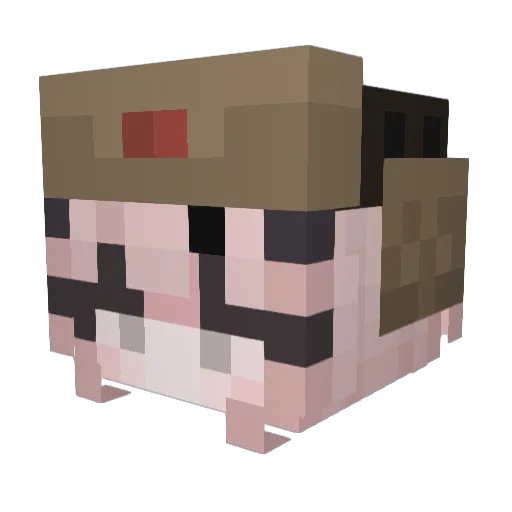 Misses64 Minecraft avatar head, 3D render