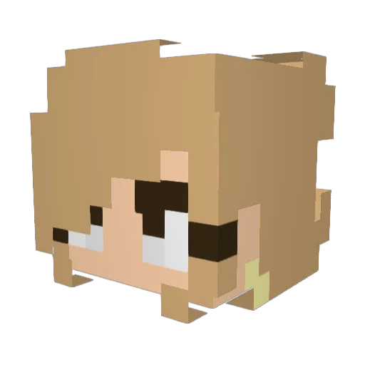 Missfi05 Minecraft avatar head, 3D render