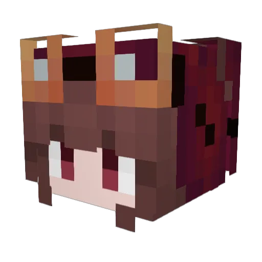 MissingAstrodox Minecraft avatar head, 3D render