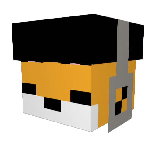 MissingCargo890 Minecraft avatar head, 3D render