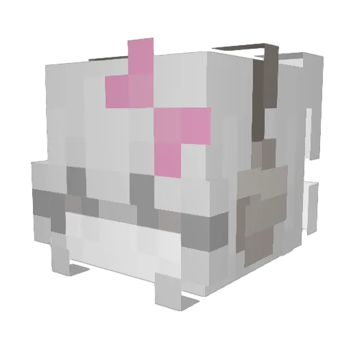 MissingNamer Minecraft avatar head, 3D render