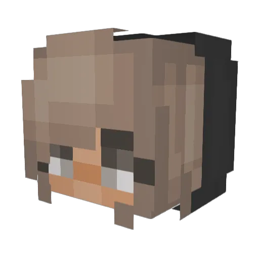 Mission_Spinnow Minecraft avatar head, 3D render