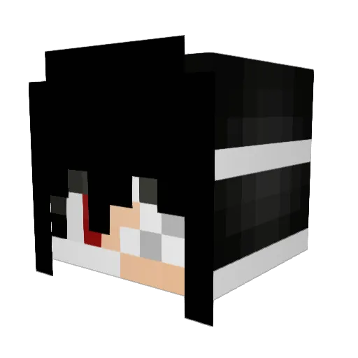 Misspanda_07 Minecraft avatar head, 3D render