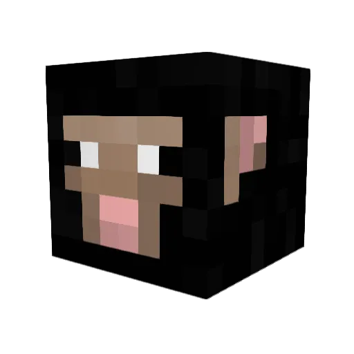 Missplay404 Minecraft avatar head, 3D render