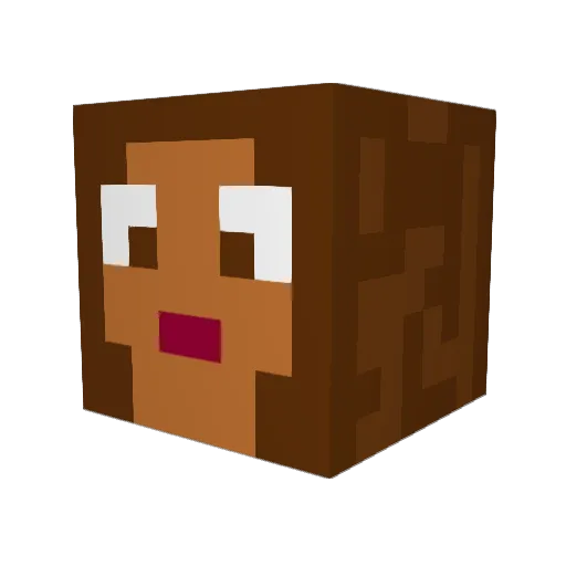 Missslow Minecraft avatar head, 3D render