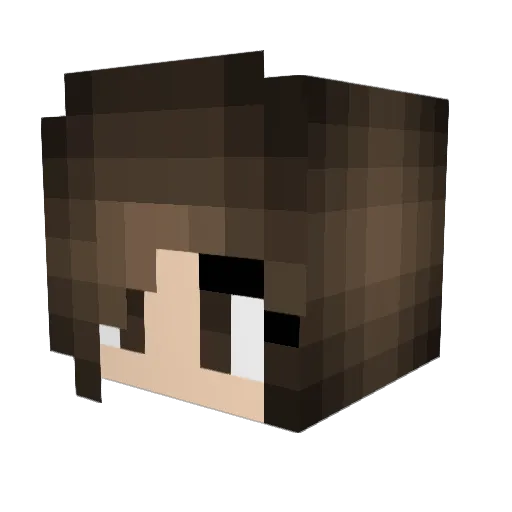 MissxSalty Minecraft avatar head, 3D render