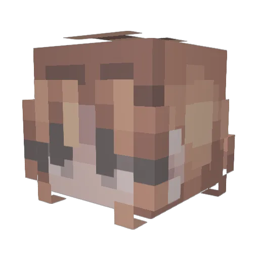 Missy_Mooch123 Minecraft avatar head, 3D render