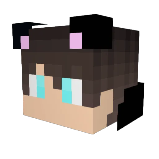 Mist3rFinest Minecraft avatar head, 3D render