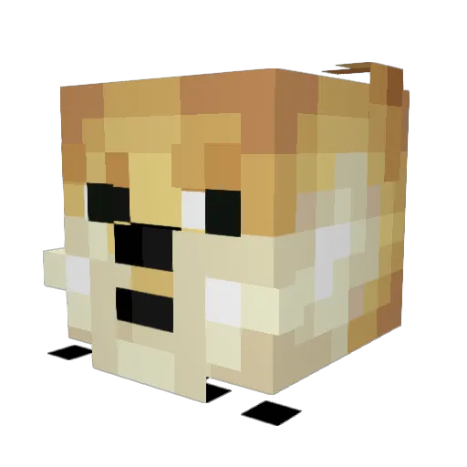 Mista_Doge Minecraft avatar head, 3D render