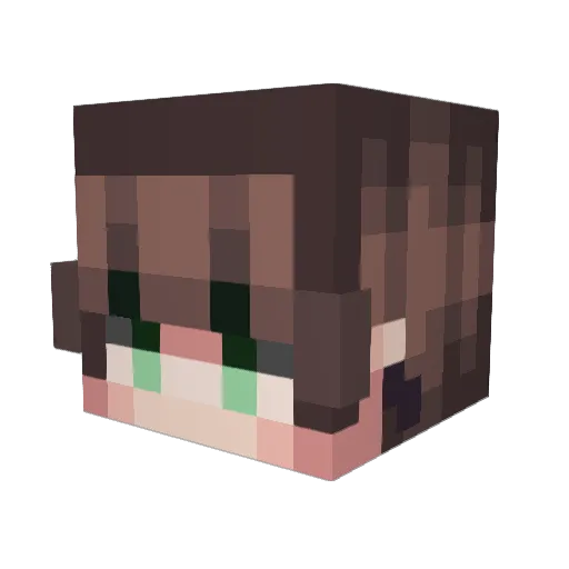 Mistabogg Minecraft avatar head, 3D render
