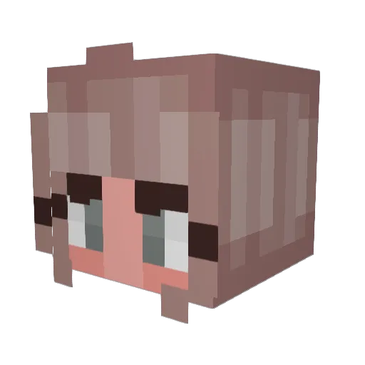 Mistdragoon18 Minecraft avatar head, 3D render