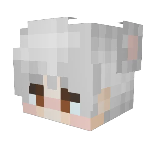 MisteRat Minecraft avatar head, 3D render
