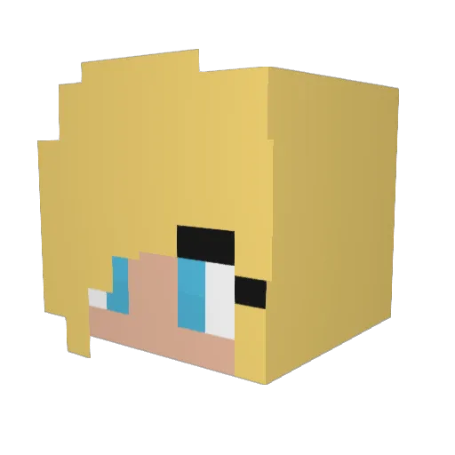 Mister3604 Minecraft avatar head, 3D render