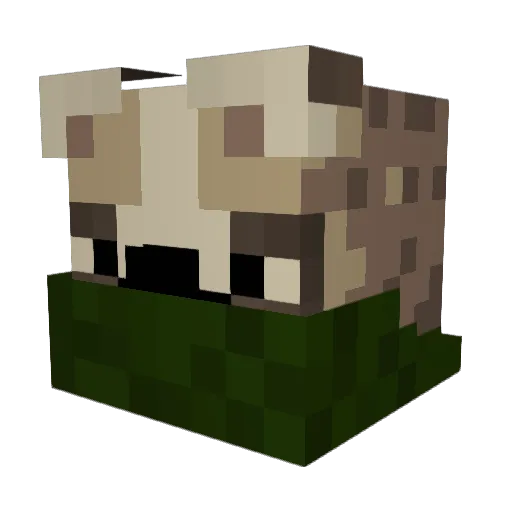 Mister5Chili Minecraft avatar head, 3D render
