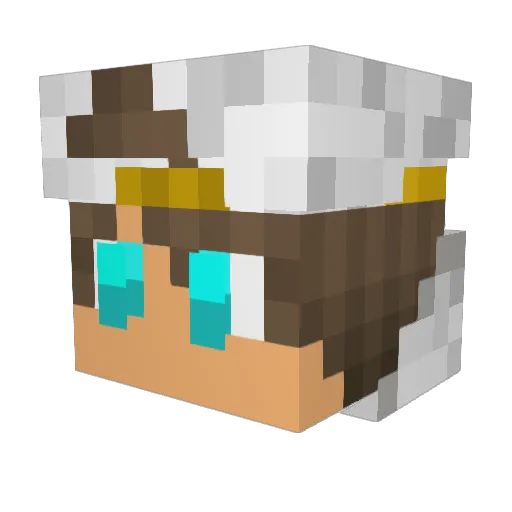 Mister983 Minecraft avatar head, 3D render