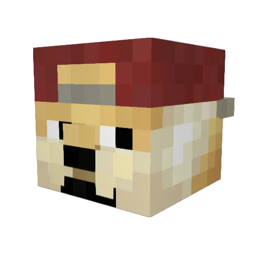 MisterAlpaka Minecraft avatar head, 3D render