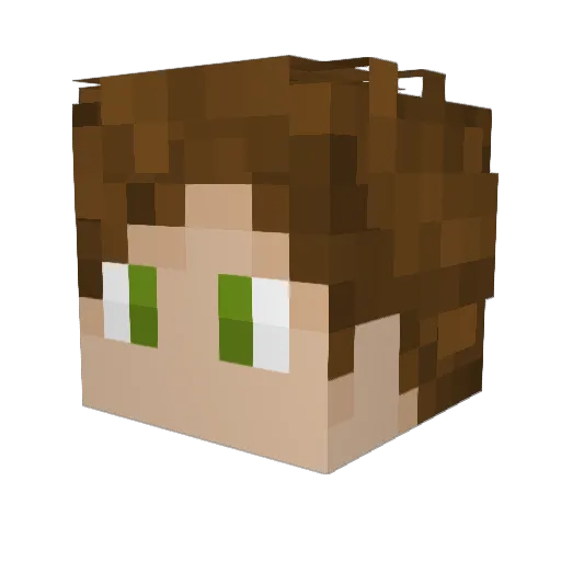 MisterArizona1 Minecraft avatar head, 3D render